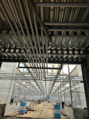 اجرای گلخونه